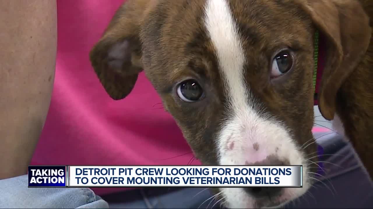 Detroit Pit Crew needs help paying $70,000 in vet bills