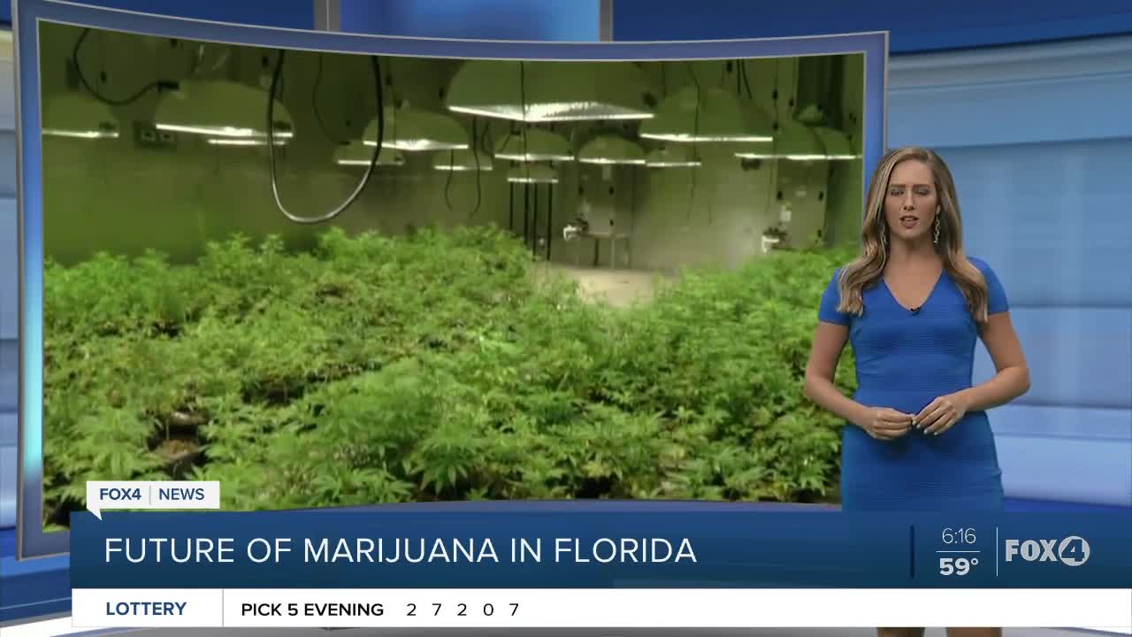 No legal recreational marijuana vote in Florida in 2020