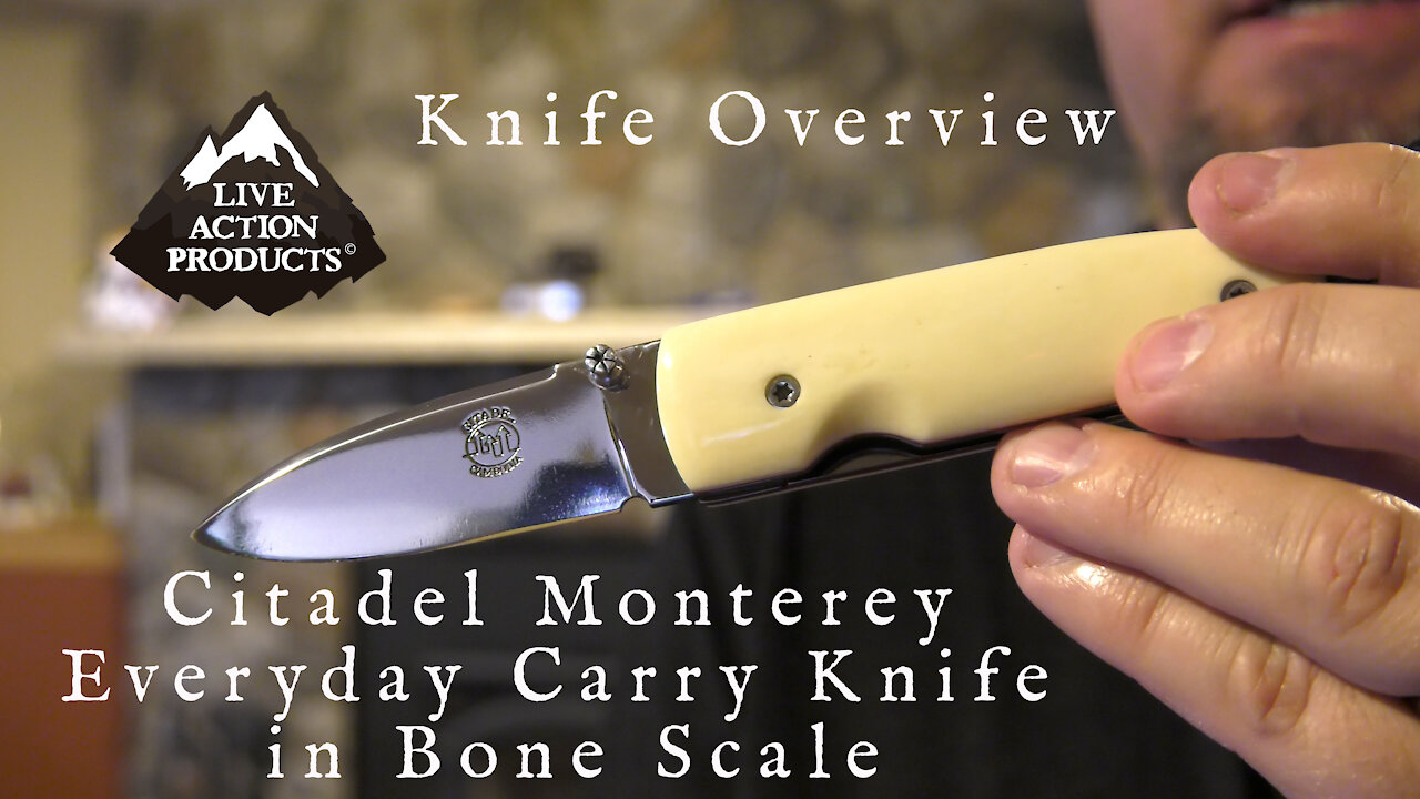 Citadel Monterey Everyday Carry Knife in Bone Scale