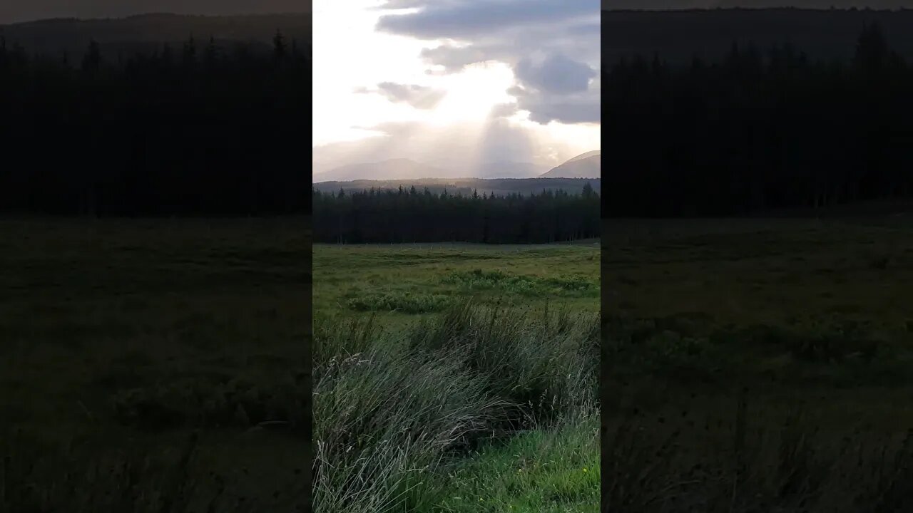 Corriechoille Scotland #shorts #scotland #relaxing