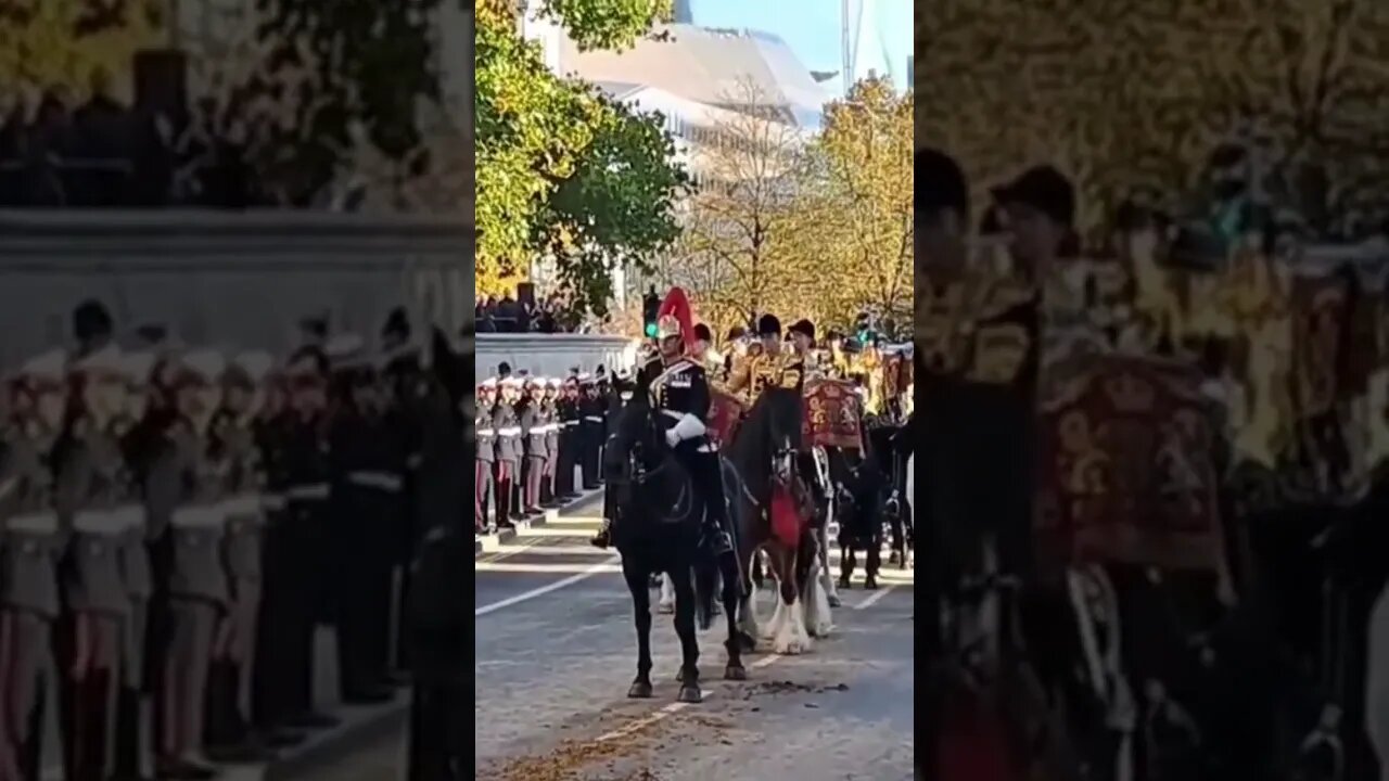 Household cavalry drummer on horse back #lordmayorsshow