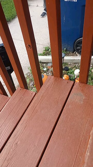 My grandma reacting to the aliens moving the trees