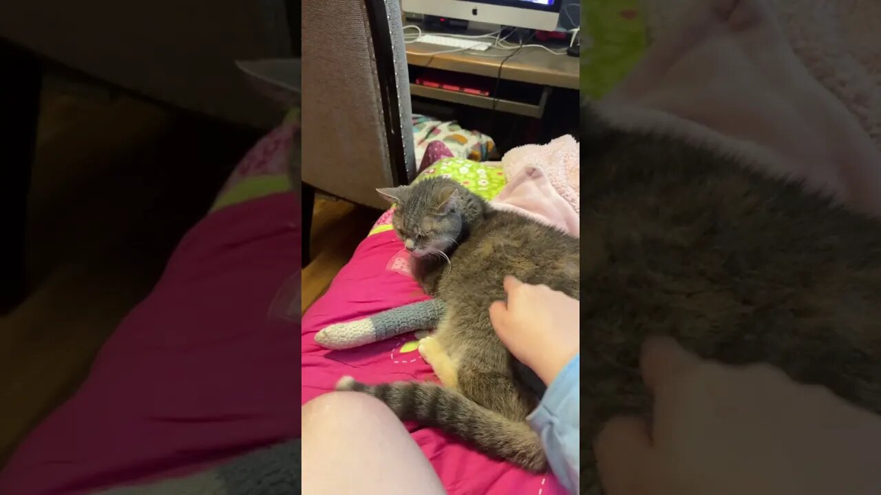 Sweet old muffin top