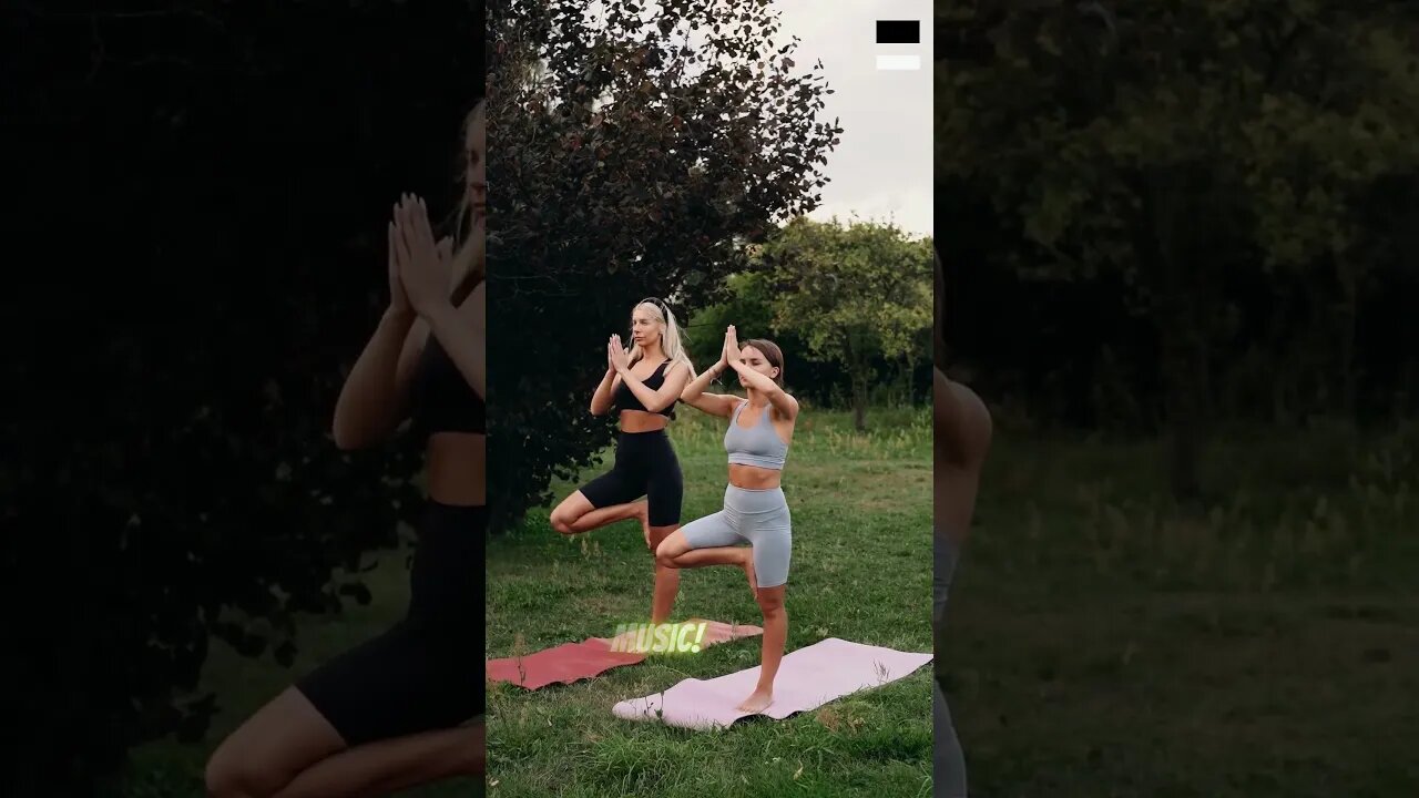 🌻 Despertar del Chi: Música de Tai Chi para Recargar tu Energía Vital