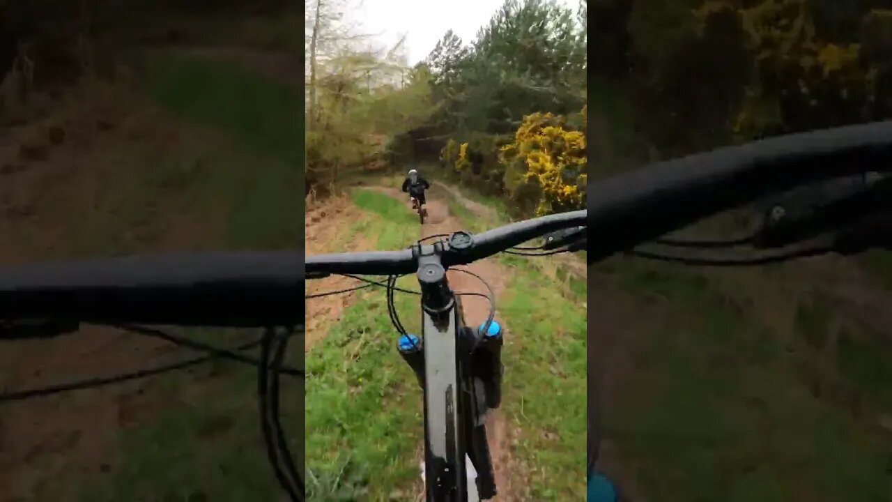 Riding The Flow: An MTB Follow Cam Friday Short