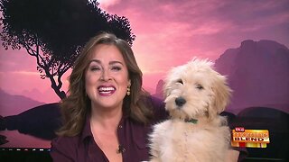 Molly and Tiffany Share the Buzz for May 11!