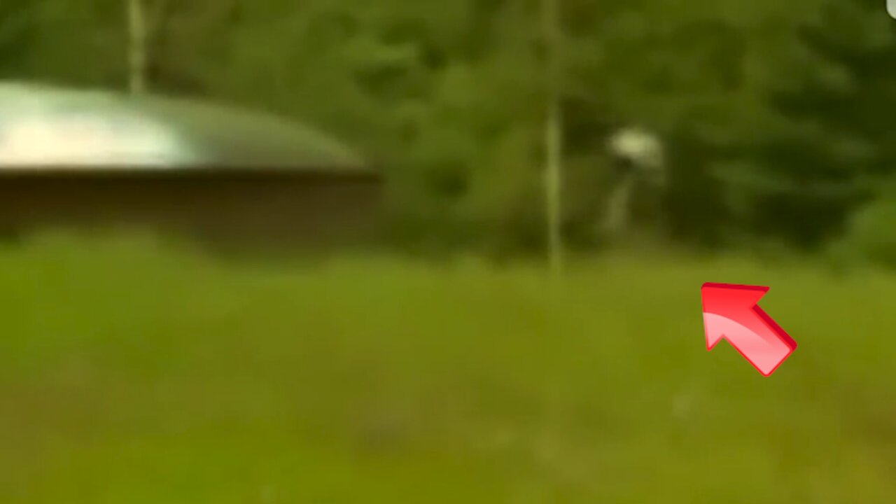 Gray man landing to defecate [space]
