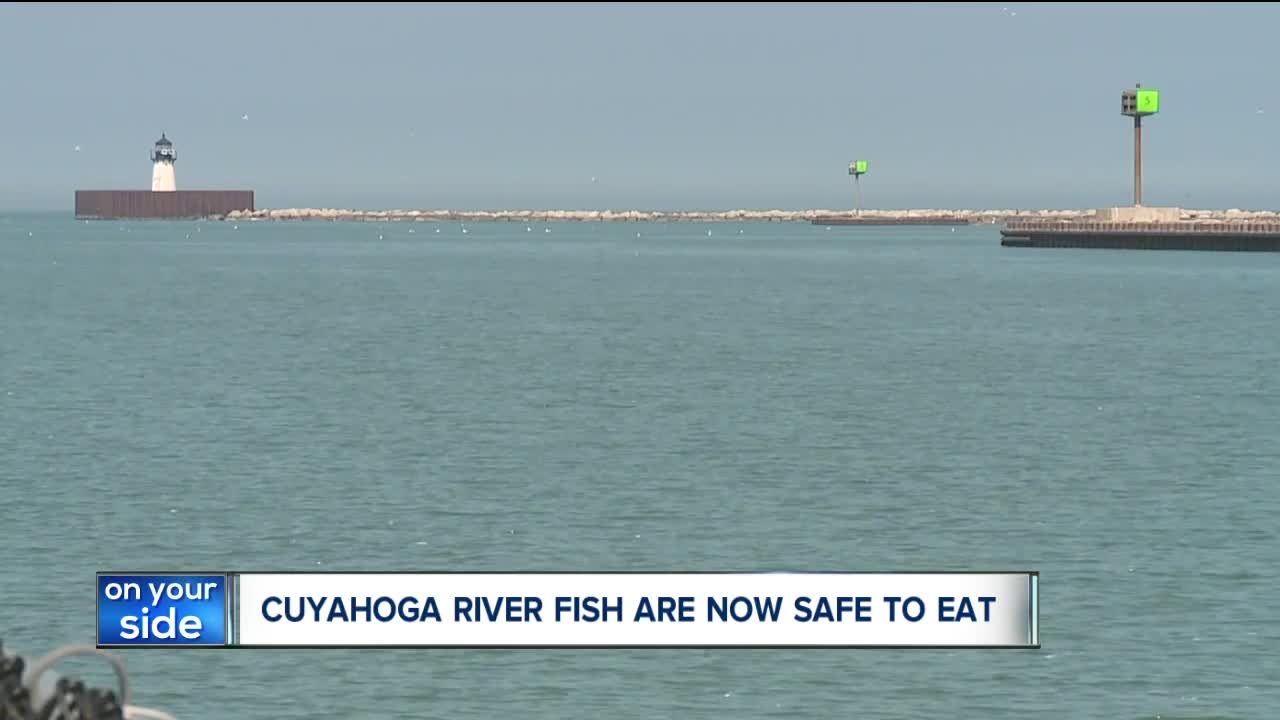 Fish caught in Cuyahoga River that famously caught fire are now listed as safe to eat