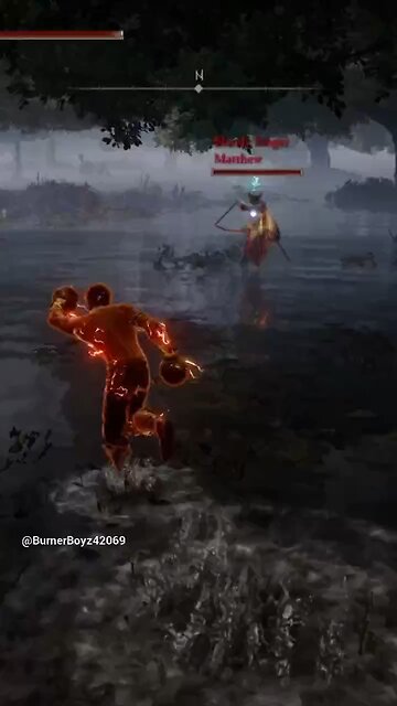 Knocking a dumb idiot out of the air in Elden Ring