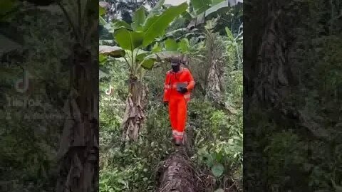 Flore de Lille Veuve Joyeuse Simon Pierre répondit : Tu es le Christ, le Fils du Dieu vivant Afrique