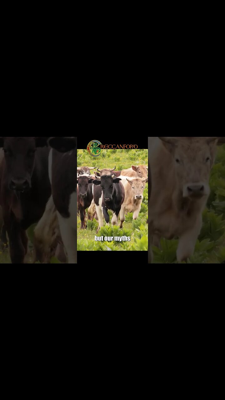 Why Dragons kidnap Princesses