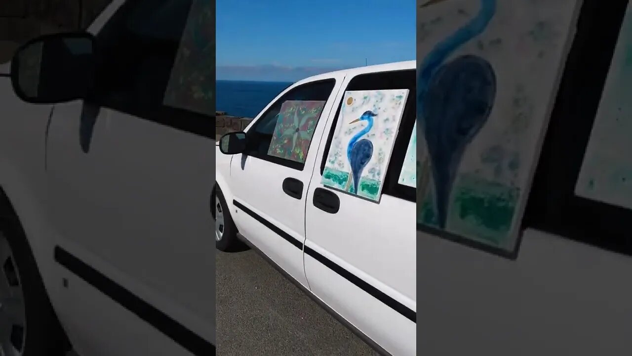 Sea Turtle