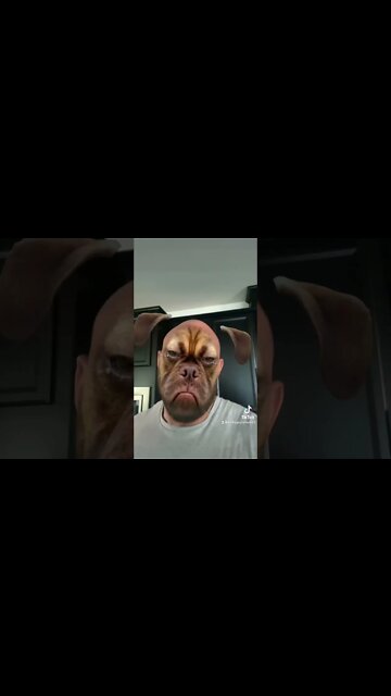 There Is No Love Greater Than Puppy Love ❤️