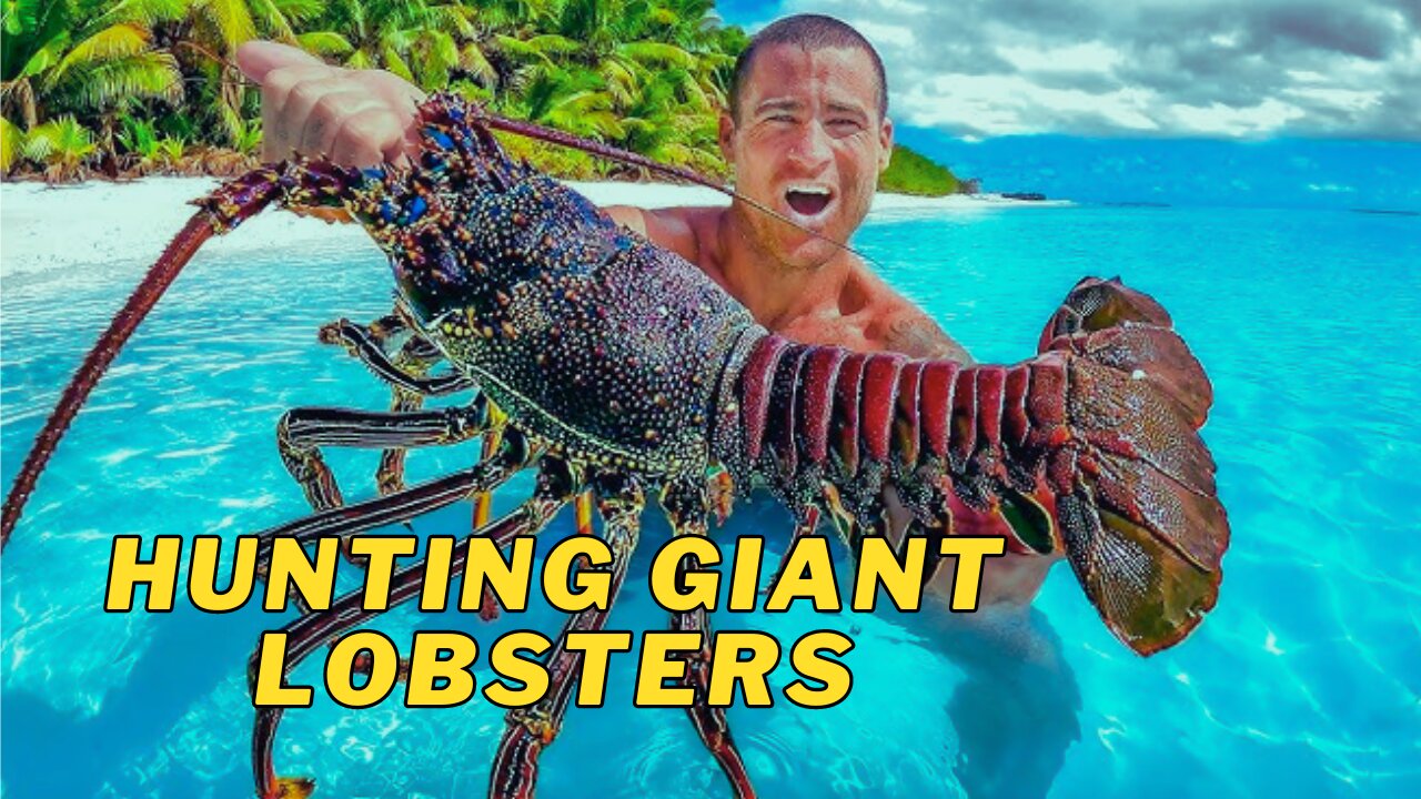 Island Secrets: Discover the Largest Lobster You've Ever Seen!