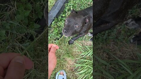 Follow for more pablo