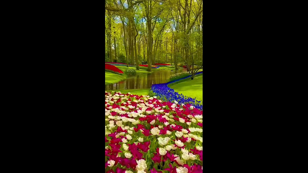 Patjhad sawan basant bahar #greenery #naturemusic #nature #love #weather #naturesong #hindisong