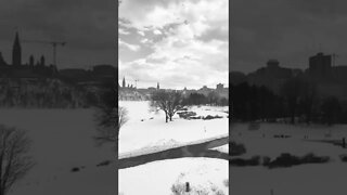 Spring is coming to Ottawa