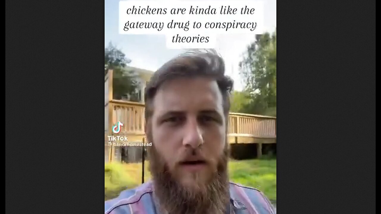 Chickens are kinda like the gateway drug to conspiracy theories