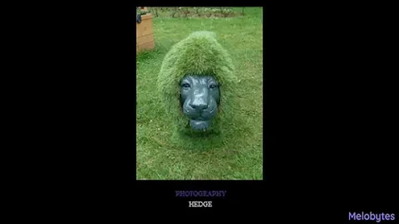 Melobytes: Grass Dog To AI Music Featuring Campbell the Toast