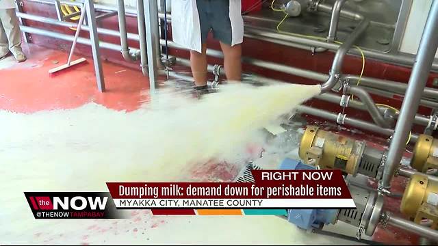 Dairy farmers forced to dump milk after Hurricane Irma