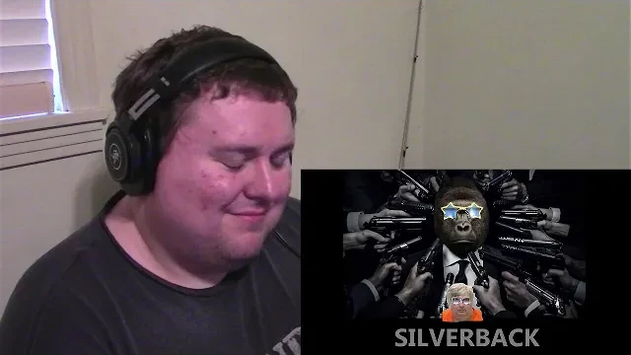 Silverback Gorilla poaches the competition Part 1 Reaction