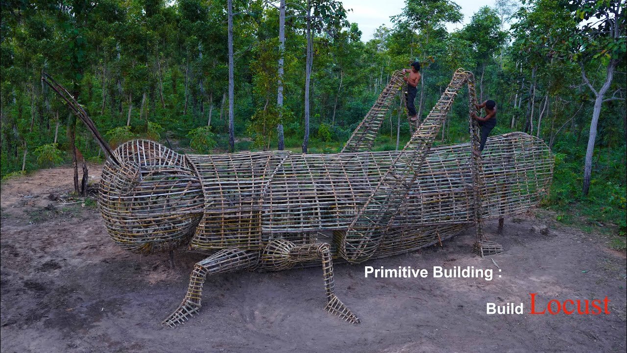 We Build Amazing Locust House In Forest