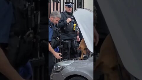 Sniffer dogs searchable car out side the gate's of Buckingham Palace #buckinghampalace