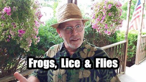 Frogs, Lice & Flies: Exodus 8