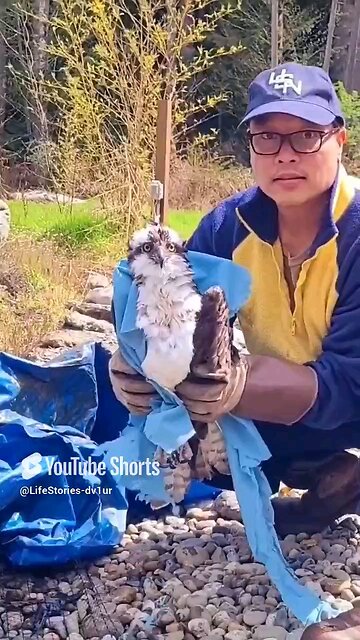 I Caught a Voracious Osprey! Watch Now!