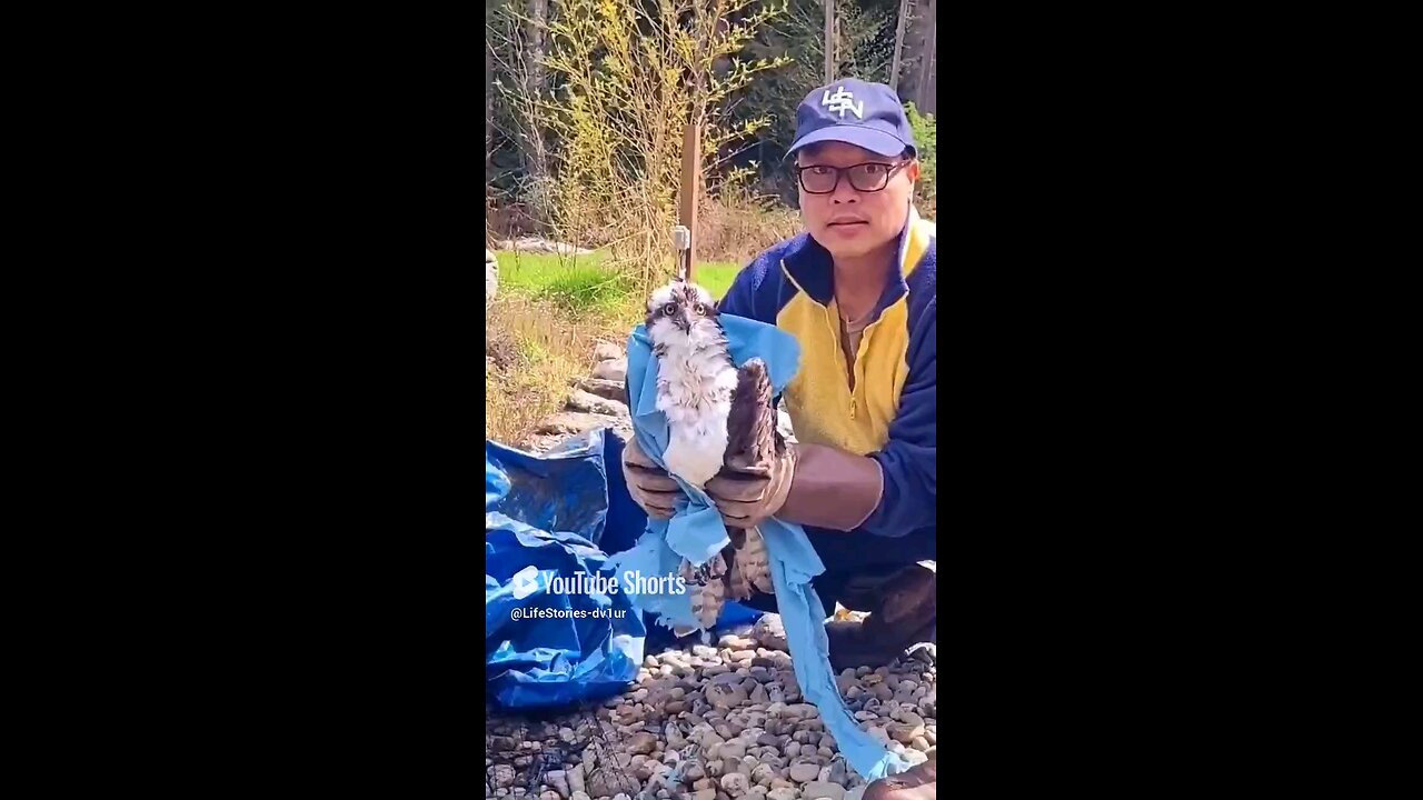 I Caught a Voracious Osprey! Watch Now!