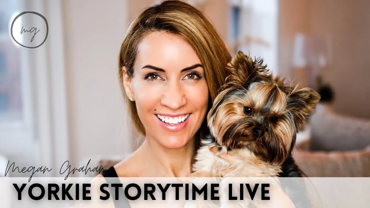 Yorkie Storytime Live | Yorkie chat with Megan Graham