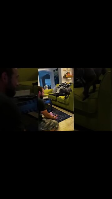 New Antidepressant drug just came out , # short