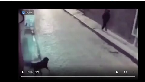 🟨 [...] ...人...狗...!