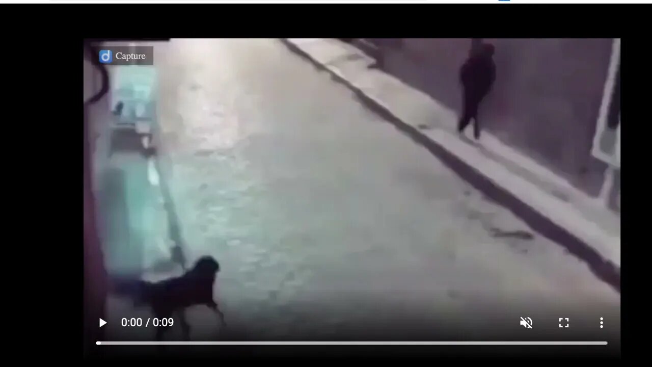 🟨 [...] ...人...狗...!