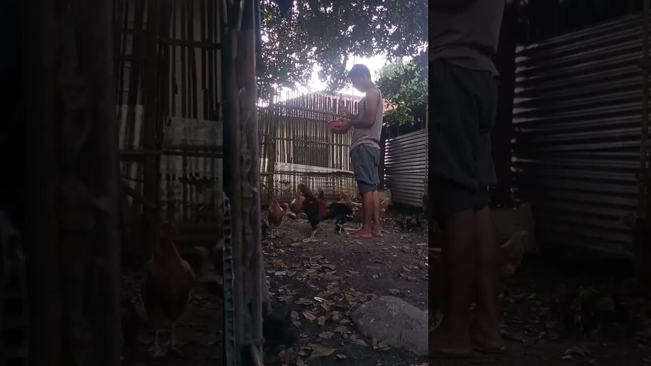 Dunia Baru