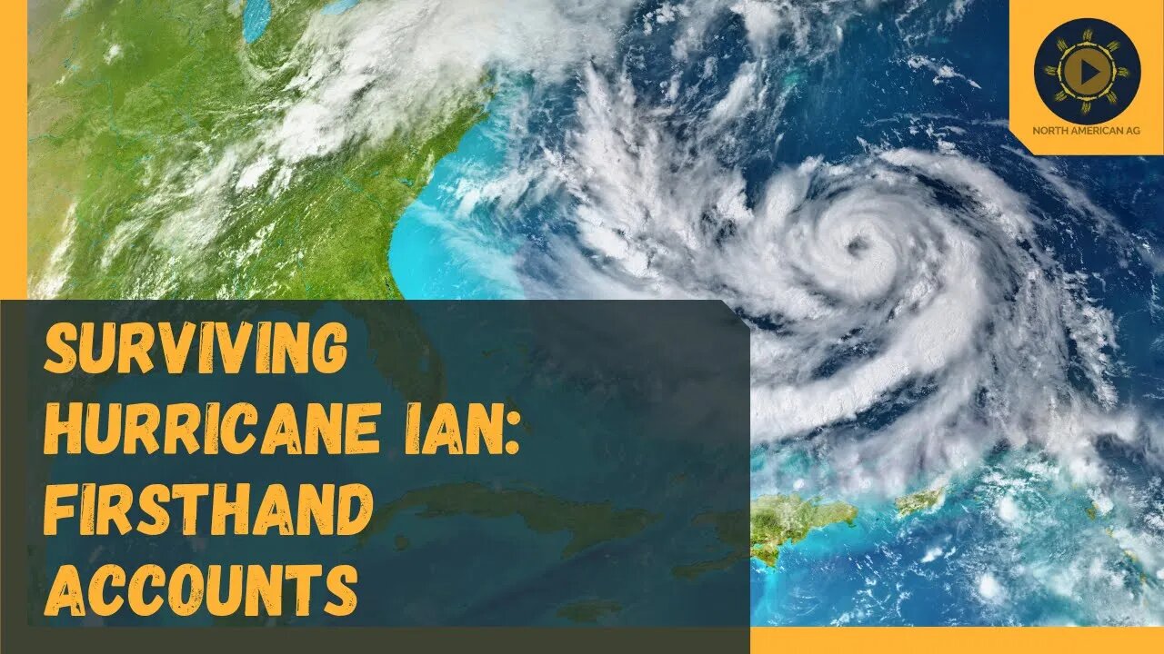 Surviving Hurricane Ian: Firsthand Accounts