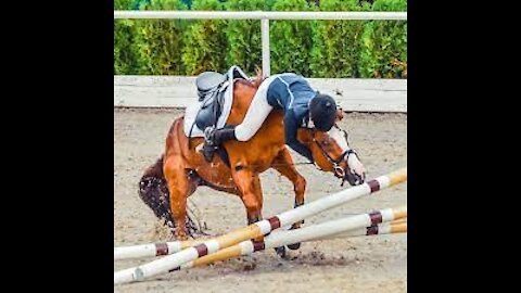 paardje in niet goede galop