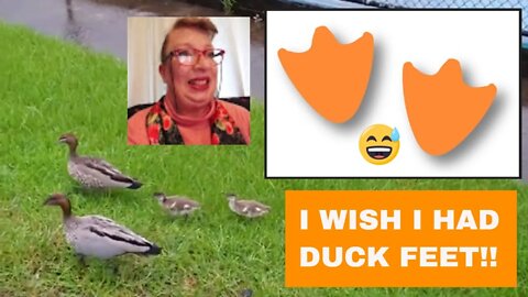 🦆🦆🦆🦆I WISH I HAD DUCK FEET!!😅 lol!🦆🦆🦆🦆💧💧💧💦💦💦5 mins.