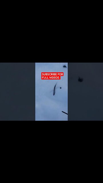 Never know whats lurking #shorts