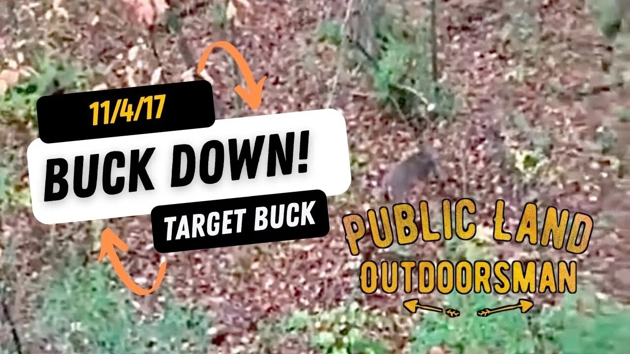 2017 Rut Success, 6pt. Buck Down!