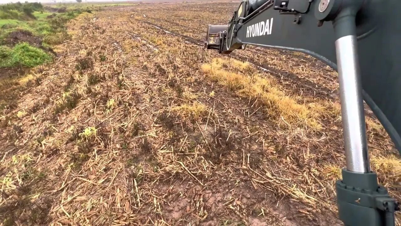 LIMPANDO CÓRREGO MUITO SUJO 🌊 Escavadeira hidráulica op iago-6