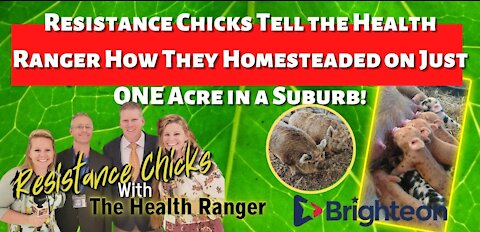 HEALTH RANGER INTERVIEWS RESISTANCE CHICKS WHO HOMESTEADED ON ONE ACRE AN A SUBURB!