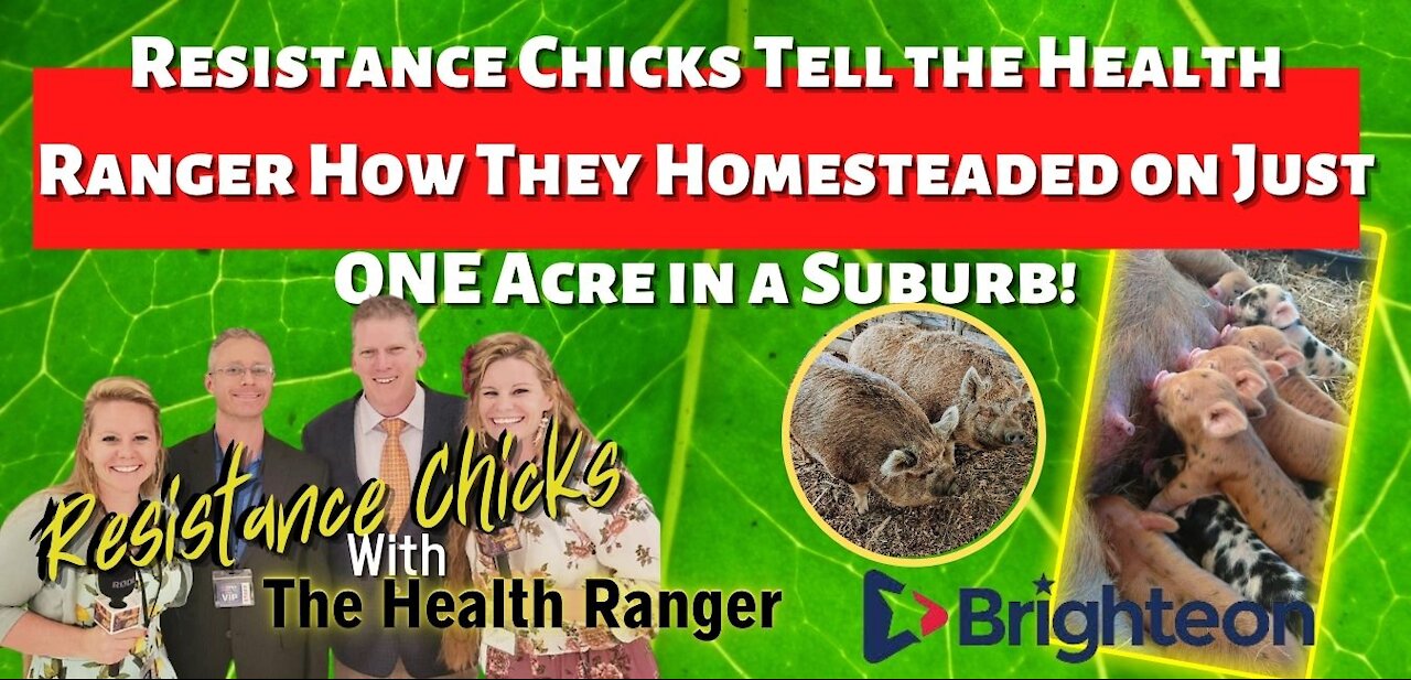 HEALTH RANGER INTERVIEWS RESISTANCE CHICKS WHO HOMESTEADED ON ONE ACRE AN A SUBURB!