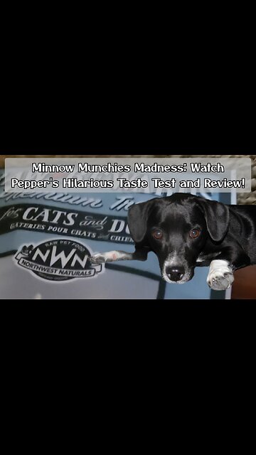 Minnow Munchies Madness: Watch Pepper's Hilarious Taste Test and Review!