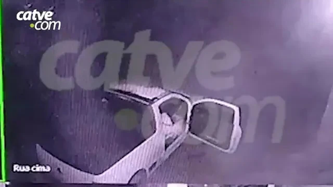 Policial Ambiental é suspeita de abandonar cachorro no Paraná