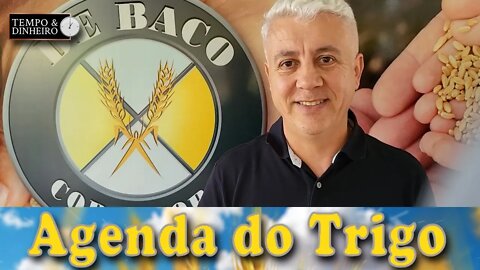 Entendendo o Câmbio e sua influência, nos preços das commodities...