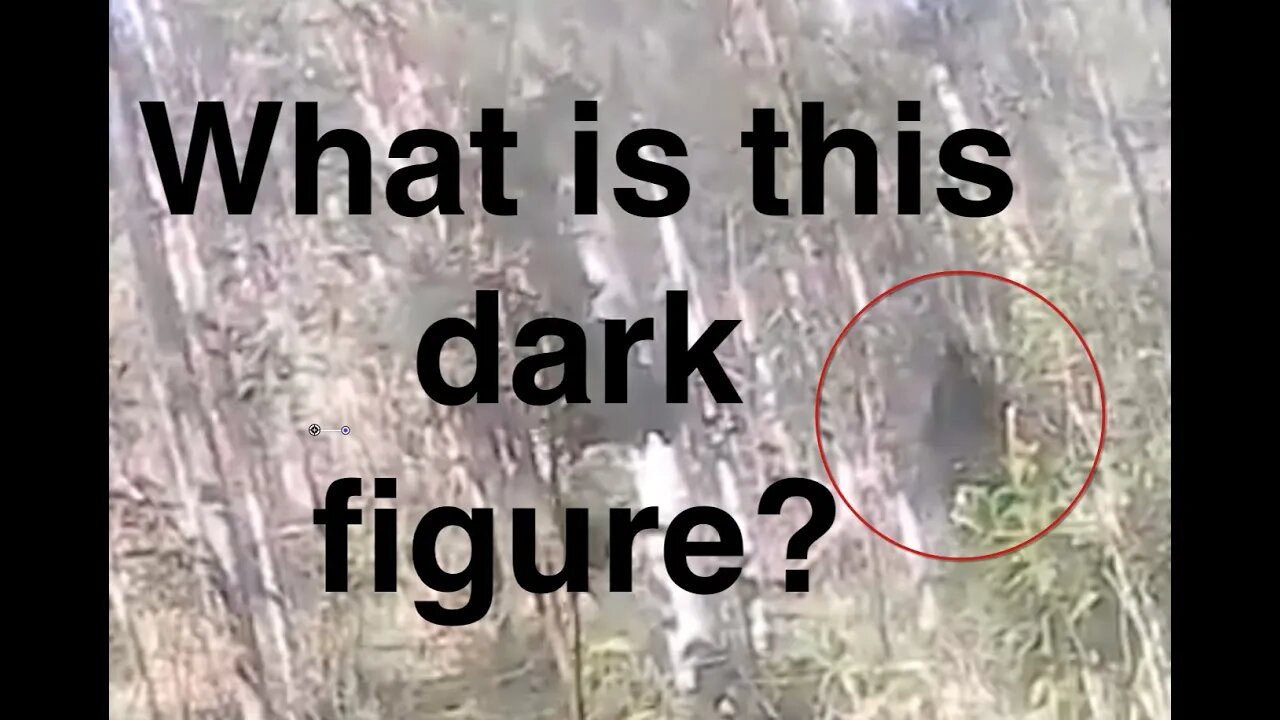 Haunted Luca's Black Figure in the Woods Analyzed Further