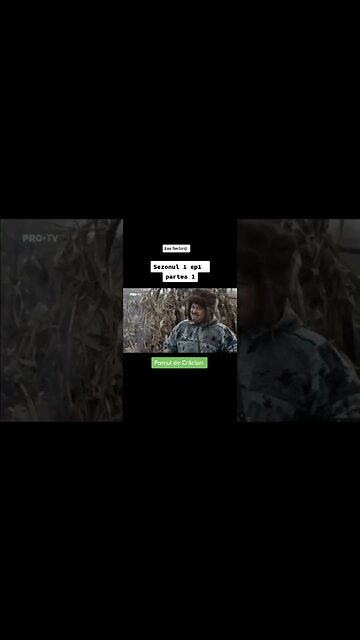 Las fierbinti -porcul de craciun