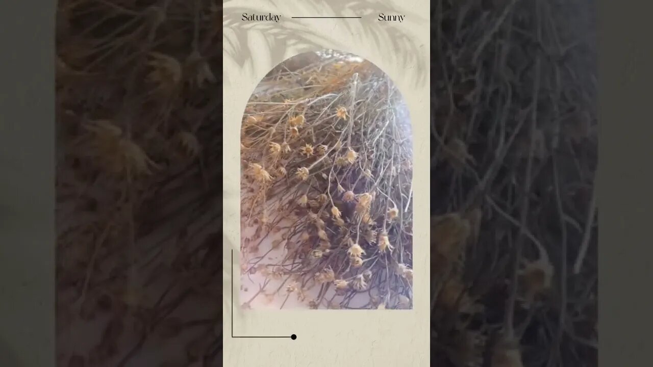 #harvesting #homesteading #autumn