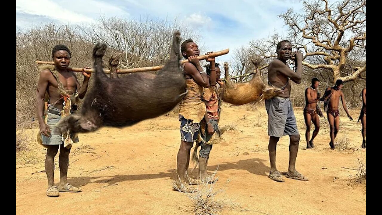 Hadzabe Tribe Bush Pig Hunt And Cooking. hunter's life {Wildlife Documentry}